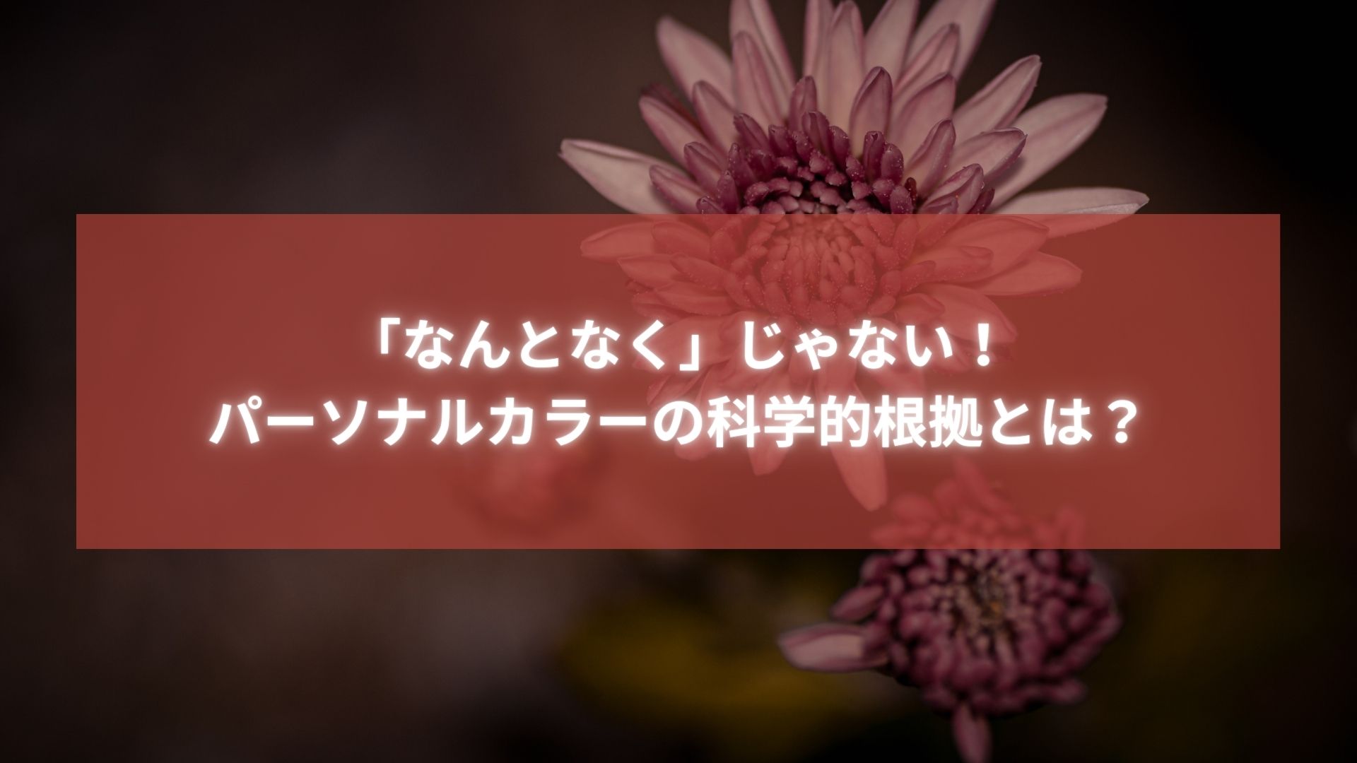 パーソナルカラーの科学的根拠を解説するタイトル入り画像（背景にピンクの花）