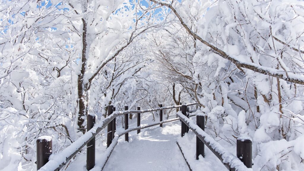 雪に覆われた白銀のトンネル｜ブルベ冬の透明感とクールさを象徴する冬の情景