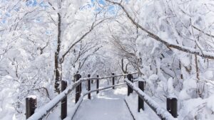 雪に覆われた白銀のトンネル｜ブルベ冬の透明感とクールさを象徴する冬の情景