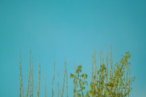 ブルベ夏 ネイル カラー おすすめについての画像