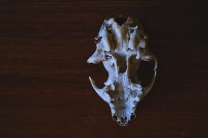 骨格ナチュラル プチプラ コーデに関連する写真