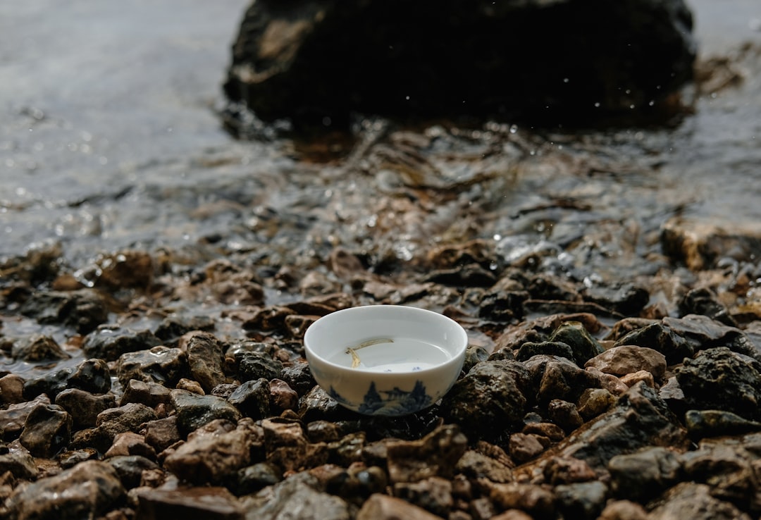 骨格ナチュラル 水着 似合うの説明図 | 体型